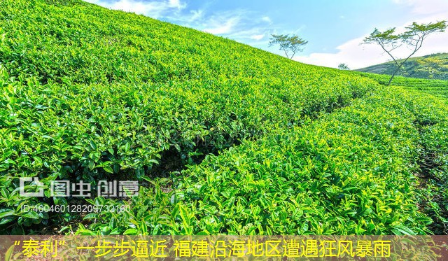 “泰利”一步步逼近 福建沿海地区遭遇狂风暴雨