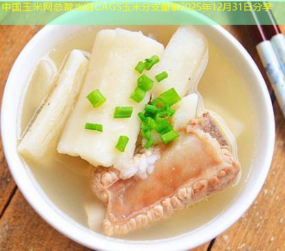 中国玉米网总裁当选CAGS玉米分支董事2025年12月31日分享