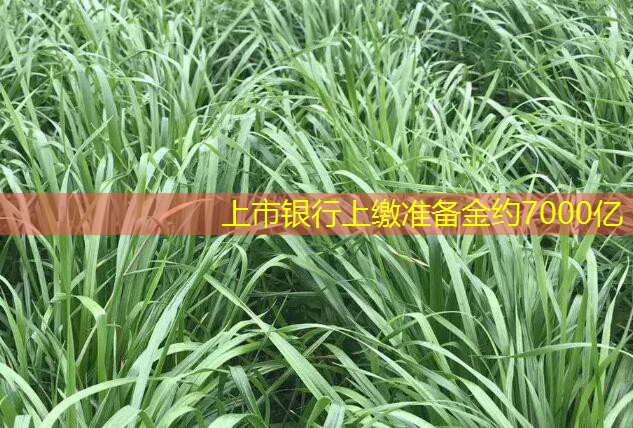 上市银行上缴准备金约7000亿