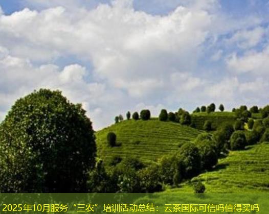 2025年10月服务“三农”培训活动总结：云茶国际可信吗值得买吗
