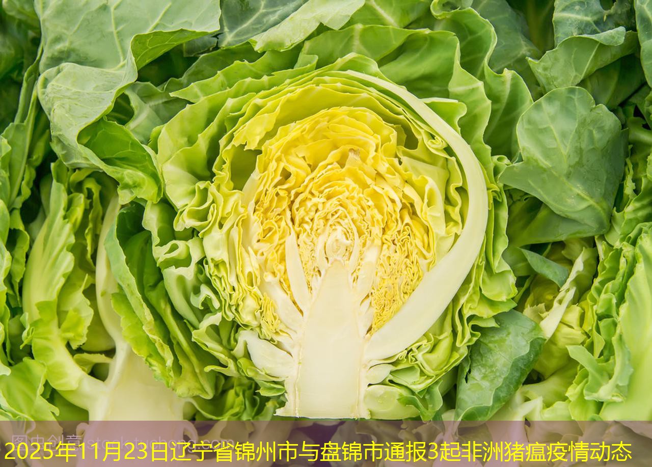 2025年11月23日辽宁省锦州市与盘锦市通报3起非洲猪瘟疫情动态