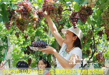 2025年10月15日：全国短期天气趋势预报