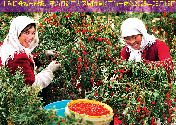 上海提升城市能级：重点打造三大区域助推长三角一体化2025年03月15日
