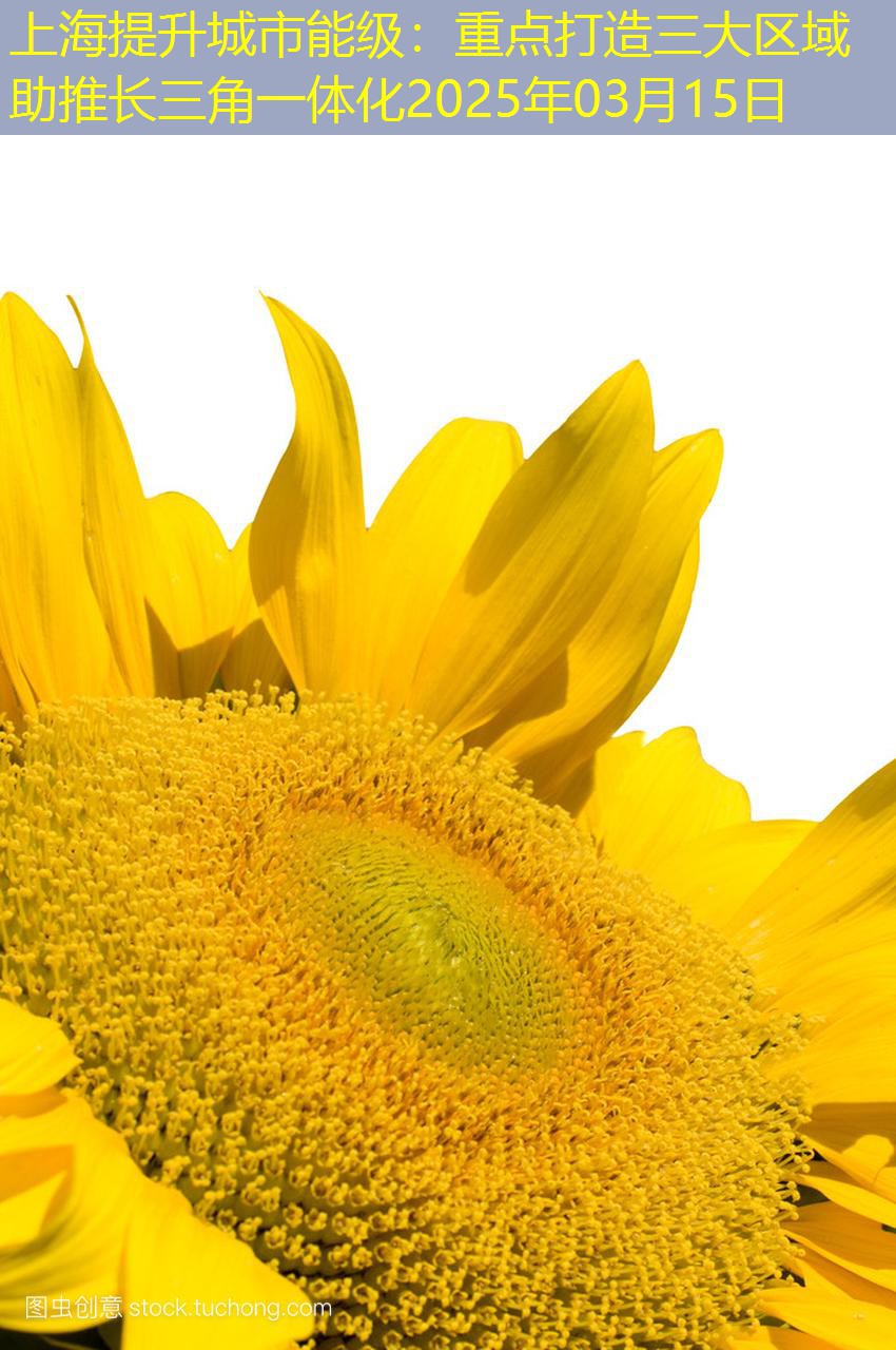 上海提升城市能级：重点打造三大区域助推长三角一体化2025年03月15日
