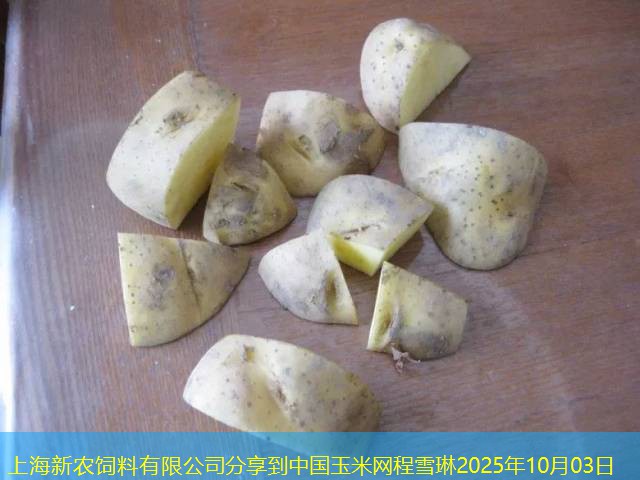 上海新农饲料有限公司分享到中国玉米网程雪琳2025年10月03日