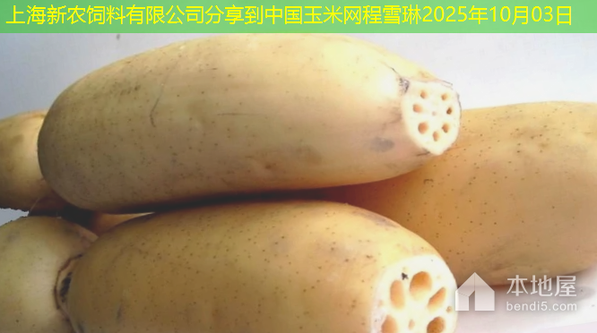 上海新农饲料有限公司分享到中国玉米网程雪琳2025年10月03日