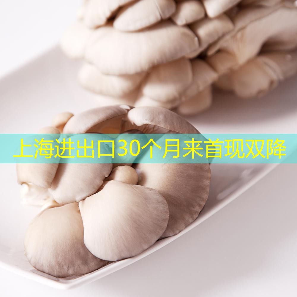 上海进出口30个月来首现双降