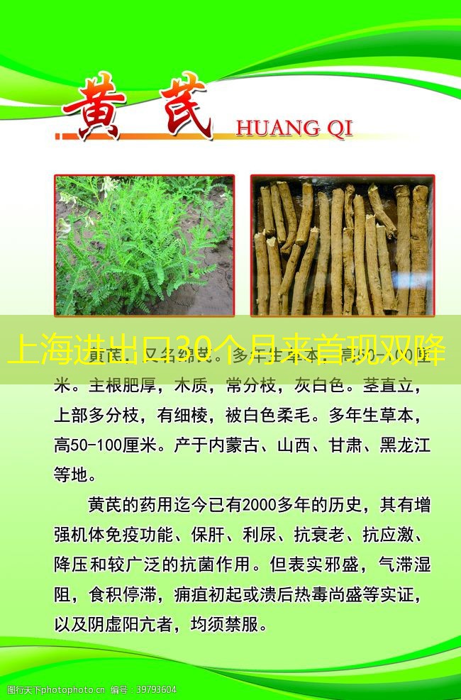 上海进出口30个月来首现双降