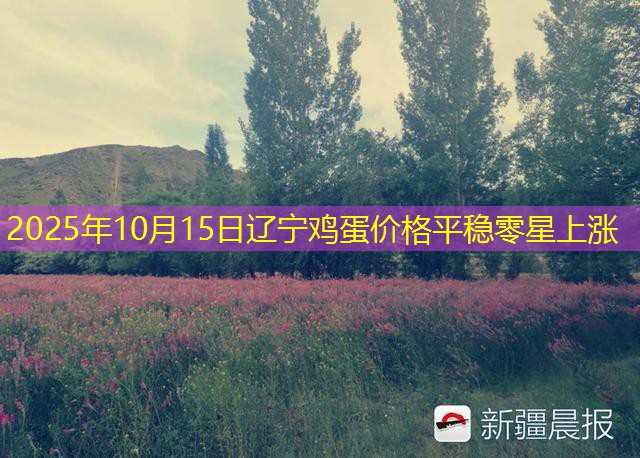 2025年10月15日辽宁鸡蛋价格平稳零星上涨