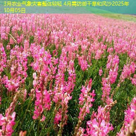 3月农业气象灾害整体较轻 4月需防御干旱和风沙2025年10月05日