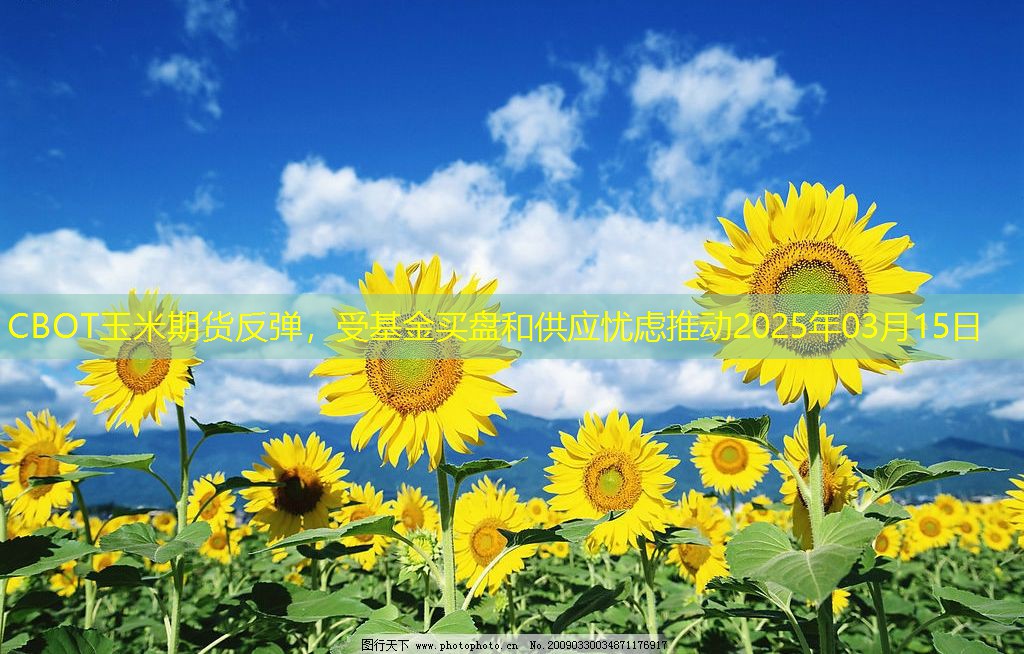 CBOT玉米期货反弹，受基金买盘和供应忧虑推动2025年03月15日