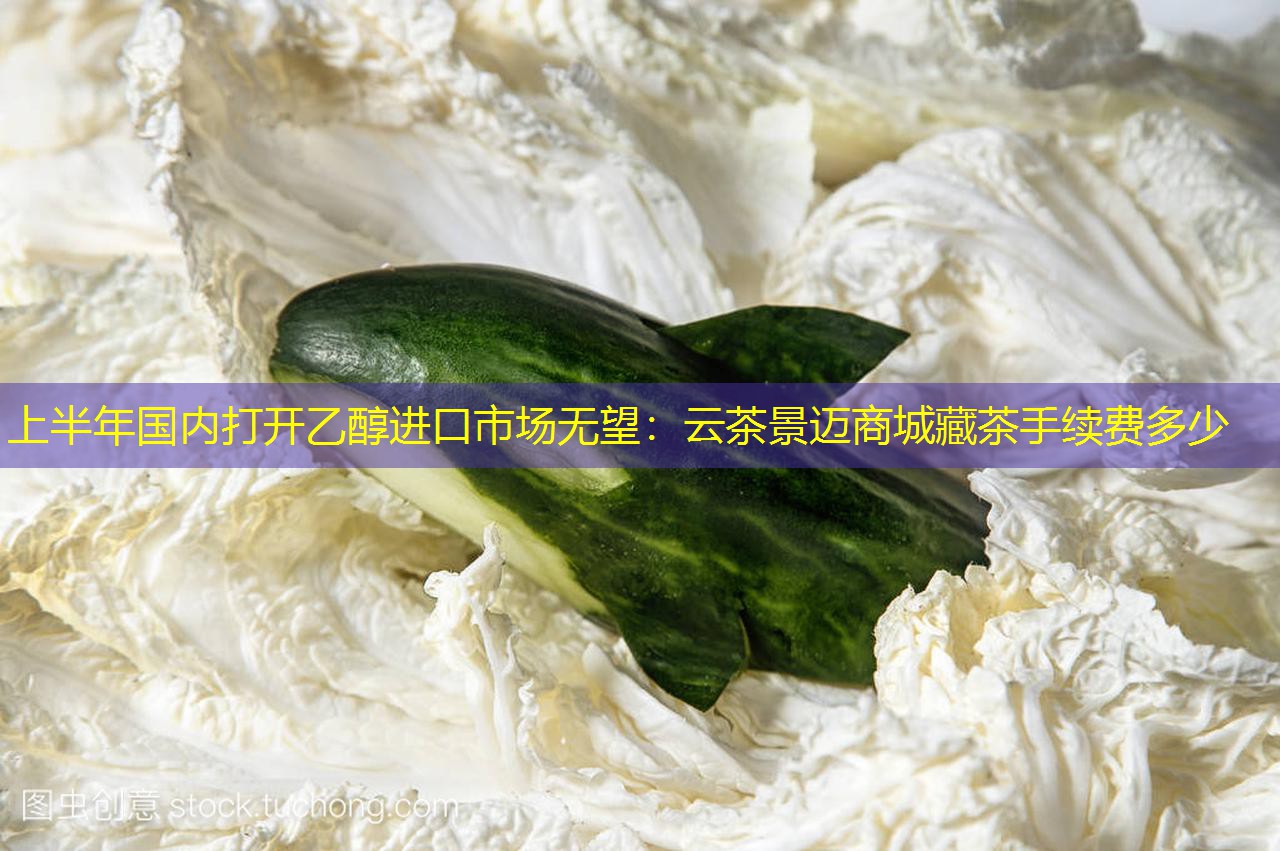 上半年国内打开乙醇进口市场无望：云茶景迈商城藏茶手续费多少