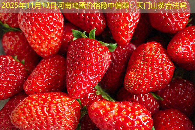 2025年11月13日河南鸡蛋价格稳中偏弱：天门山茶合法吗