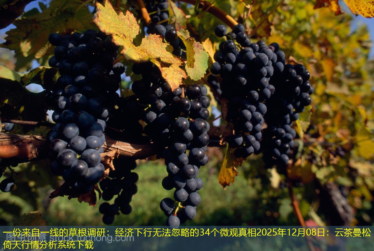 一份来自一线的草根调研：经济下行无法忽略的34个微观真相2025年12月08日：云茶曼松倚天行情分析系统下载