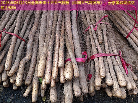2025年06月23日全国未来十天天气预报（中国天气网发布）：云茶景谷现货交易正规吗