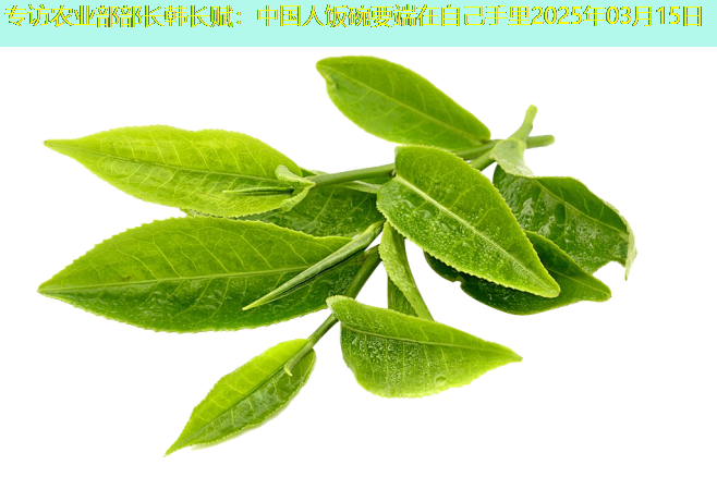 专访农业部部长韩长赋：中国人饭碗要端在自己手里2025年03月15日