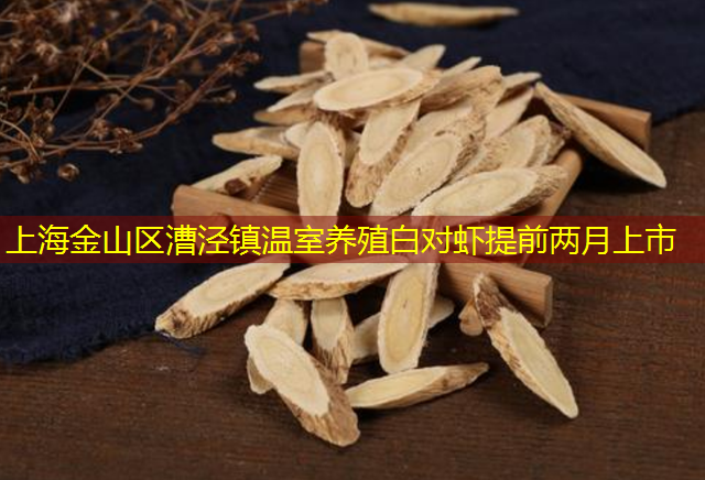 上海金山区漕泾镇温室养殖白对虾提前两月上市