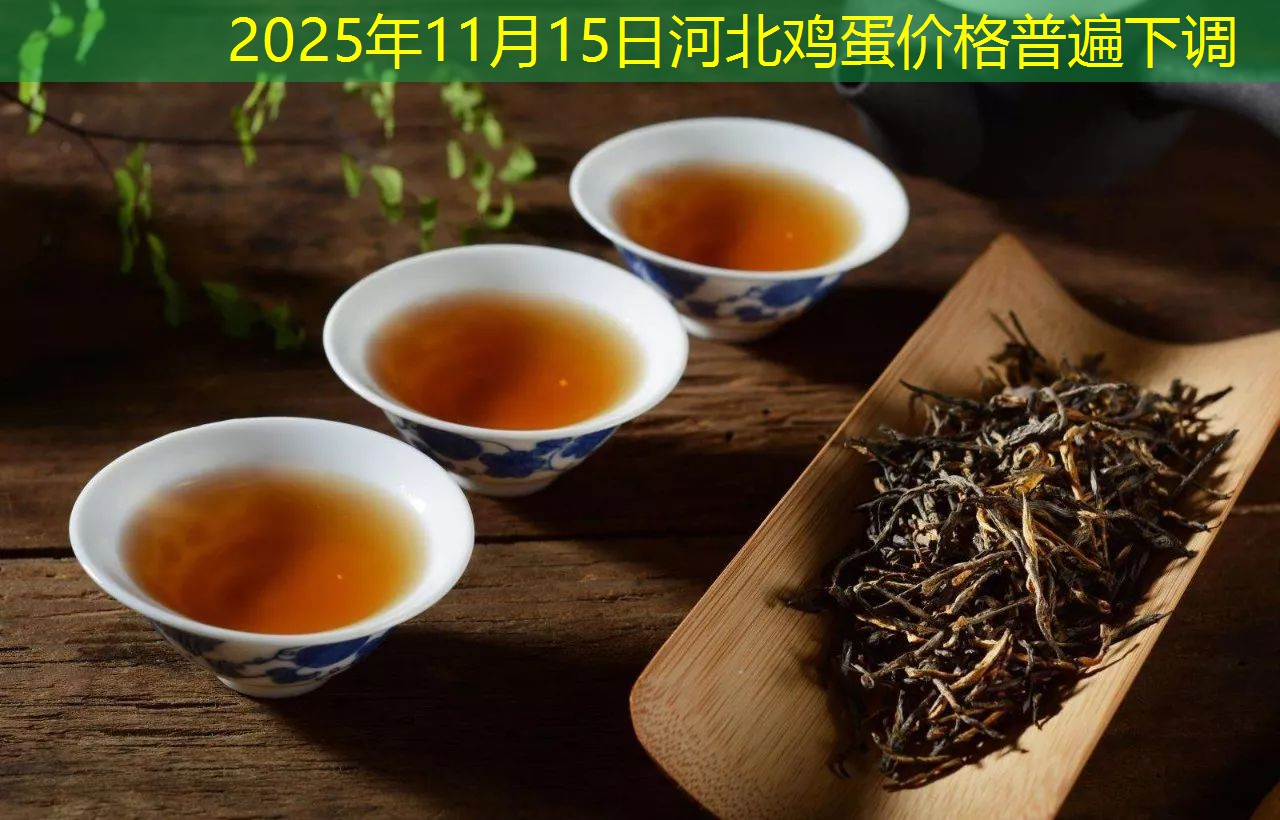 2025年11月15日河北鸡蛋价格普遍下调