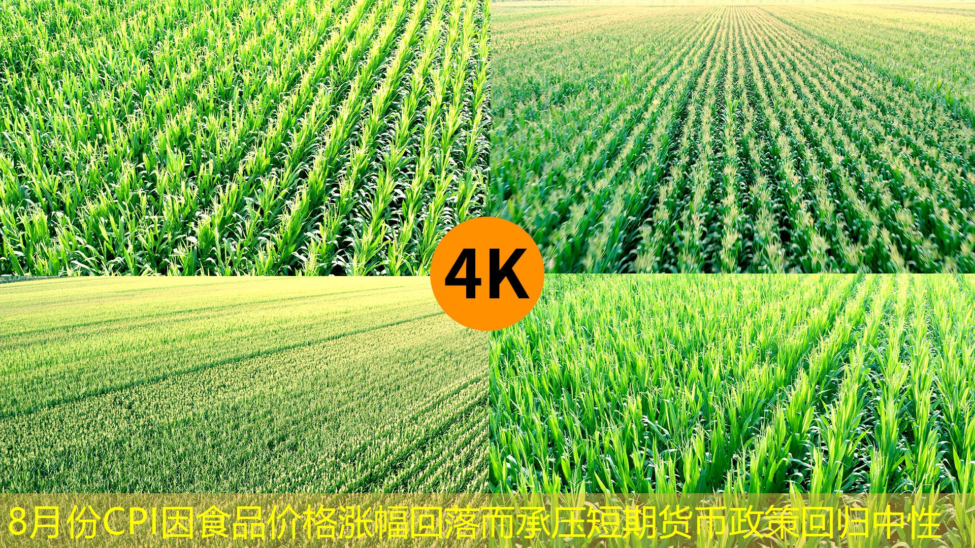8月份CPI因食品价格涨幅回落而承压短期货币政策回归中性