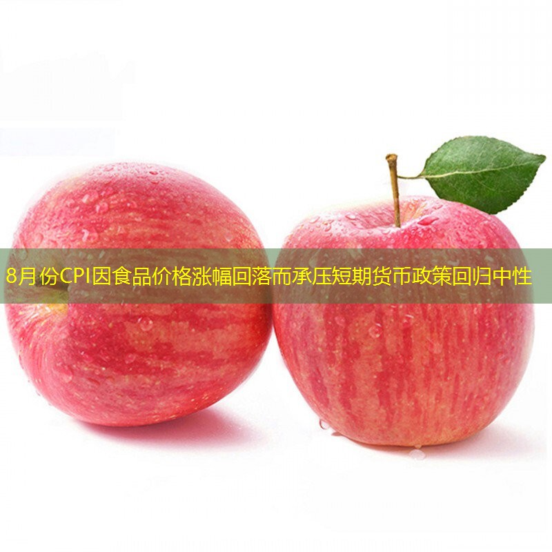 8月份CPI因食品价格涨幅回落而承压短期货币政策回归中性