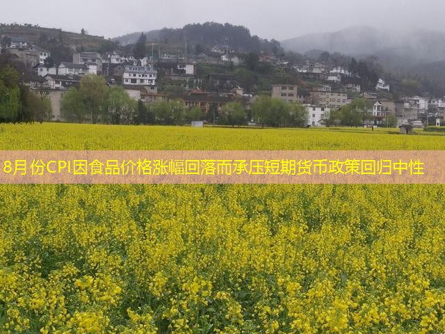 8月份CPI因食品价格涨幅回落而承压短期货币政策回归中性