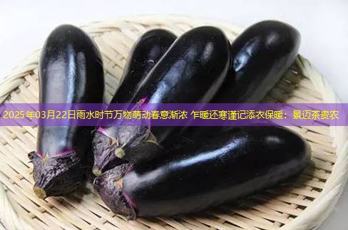 2025年03月22日雨水时节万物萌动春意渐浓 乍暖还寒谨记添衣保暖：景迈茶贵农