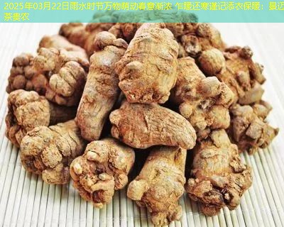 2025年03月22日雨水时节万物萌动春意渐浓 乍暖还寒谨记添衣保暖