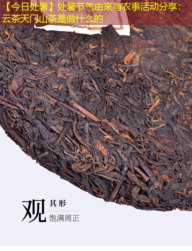 【今日处暑】处暑节气由来与农事活动分享：云茶天门山茶是做什么的
