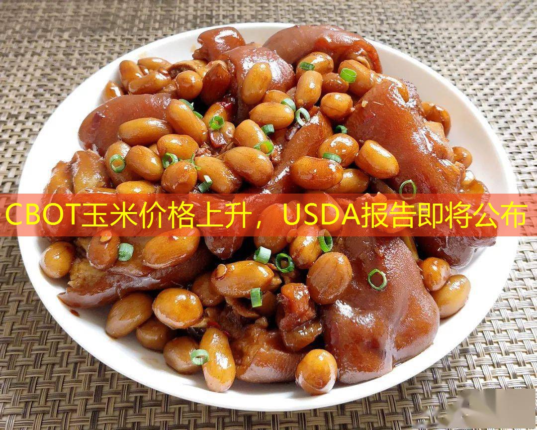 CBOT玉米价格上升，USDA报告即将公布