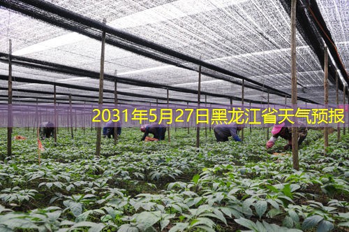 2031年5月27日黑龙江省天气预报