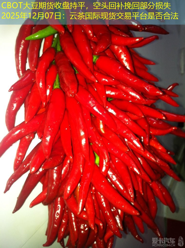 CBOT大豆期货收盘持平，空头回补挽回部分损失2025年12月07日