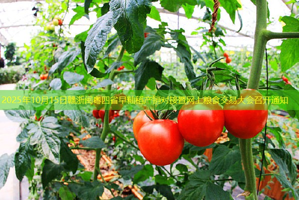 2025年10月15日赣浙闽粤四省早籼稻产销对接暨网上粮食交易大会召开通知