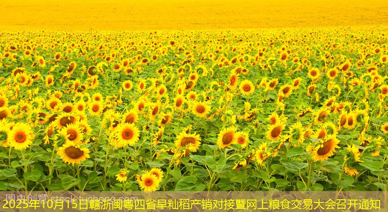 2025年10月15日赣浙闽粤四省早籼稻产销对接暨网上粮食交易大会召开通知