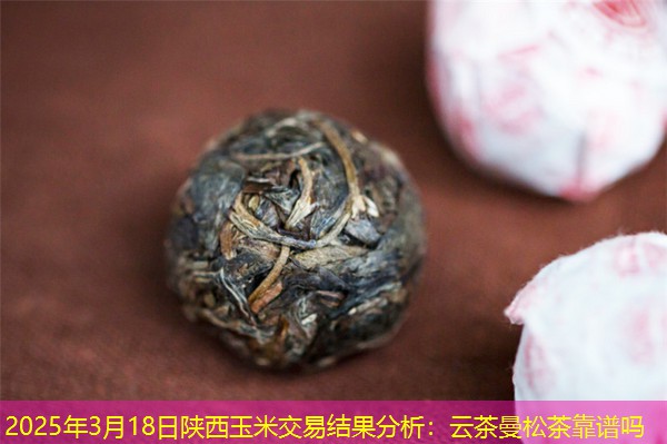 2025年3月18日陕西玉米交易结果分析：云茶曼松茶靠谱吗