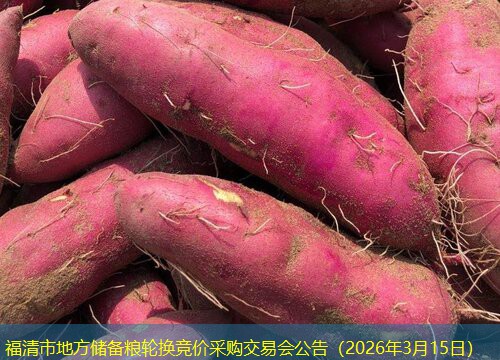 福清市地方储备粮轮换竞价采购交易会公告（2026年3月15日）