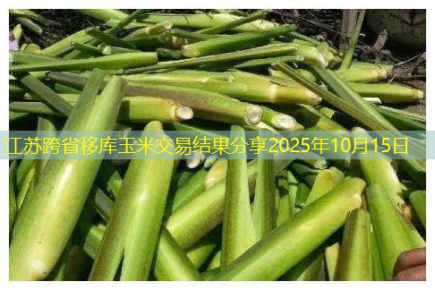 江苏跨省移库玉米交易结果分享2025年10月15日