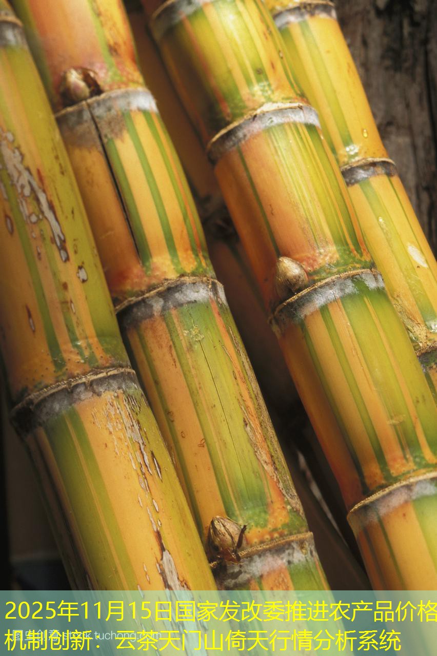 2025年11月15日国家发改委推进农产品价格机制创新：云茶天门山倚天行情分析系统