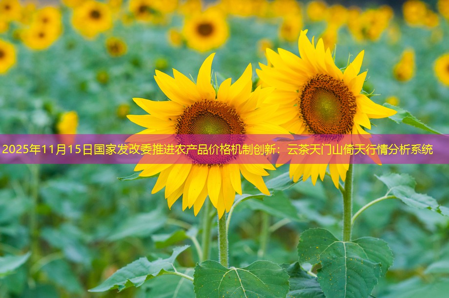 2025年11月15日国家发改委推进农产品价格机制创新