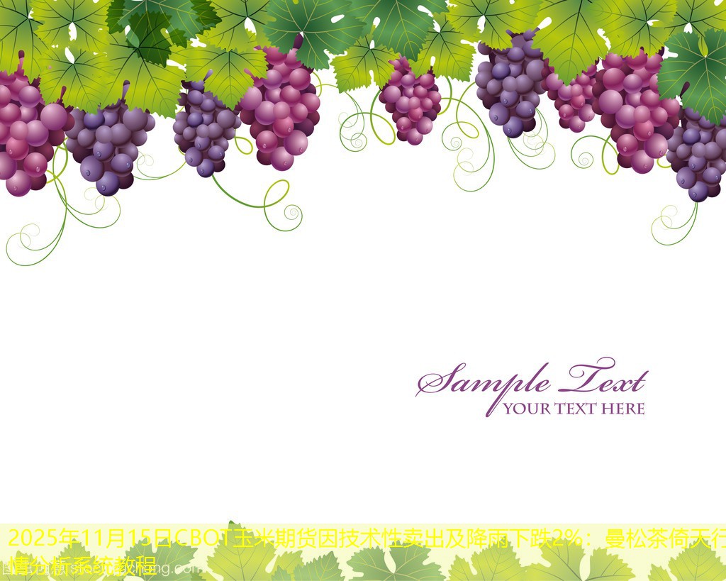 2025年11月15日CBOT玉米期货因技术性卖出及降雨下跌2%：曼松茶倚天行情分析系统教程