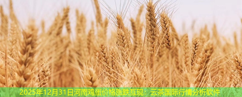 2025年12月31日河南鸡蛋价格涨跌互现：云茶国际行情分析软件