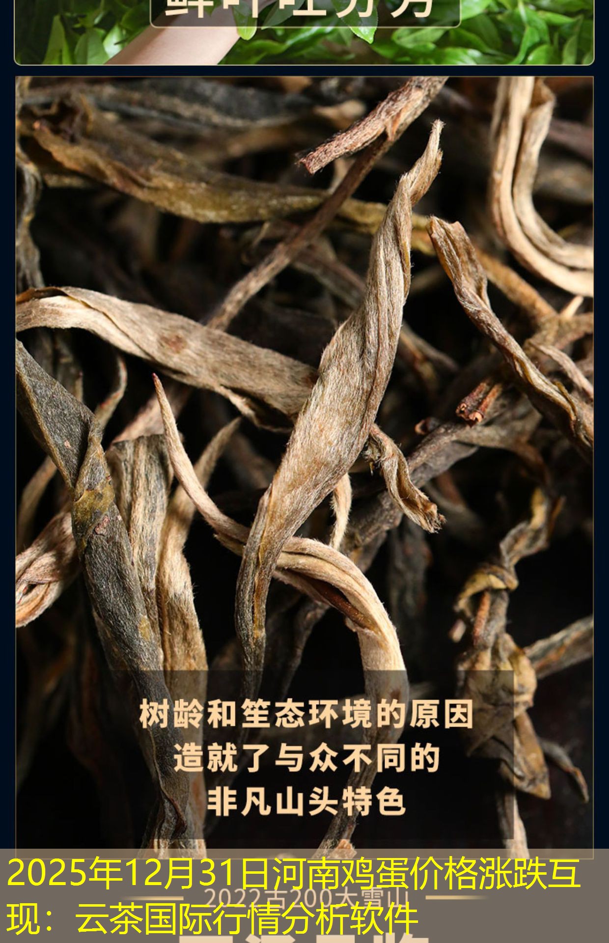 2025年12月31日河南鸡蛋价格涨跌互现