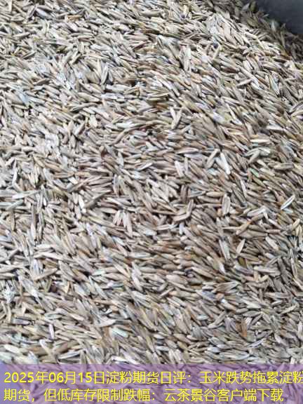2025年06月15日淀粉期货日评：玉米跌势拖累淀粉期货，但低库存限制跌幅