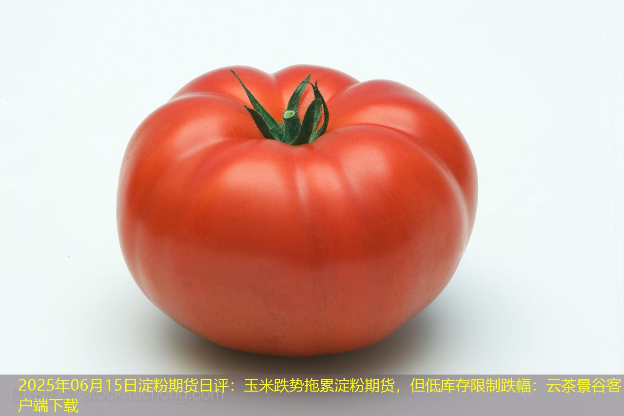 2025年06月15日淀粉期货日评：玉米跌势拖累淀粉期货，但低库存限制跌幅