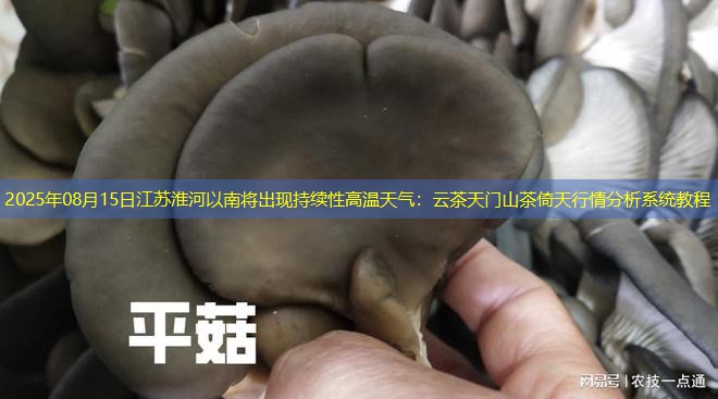 2025年08月15日江苏淮河以南将出现持续性高温天气：云茶天门山茶倚天行情分析系统教程