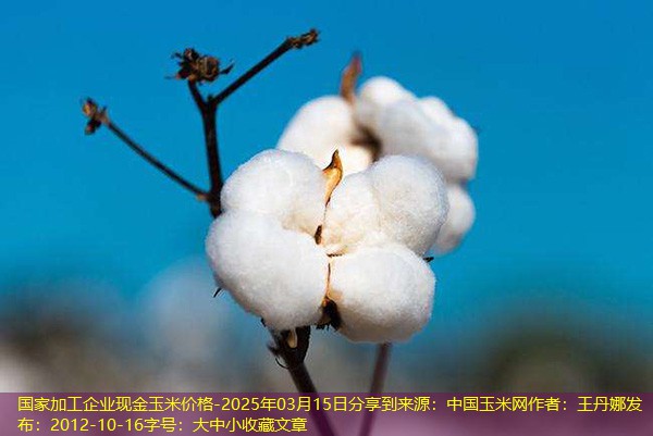 国家加工企业现金玉米价格-2025年03月15日分享到来源：中国玉米网作者：王丹娜发布：2012-10-16字号：大中小收藏文章