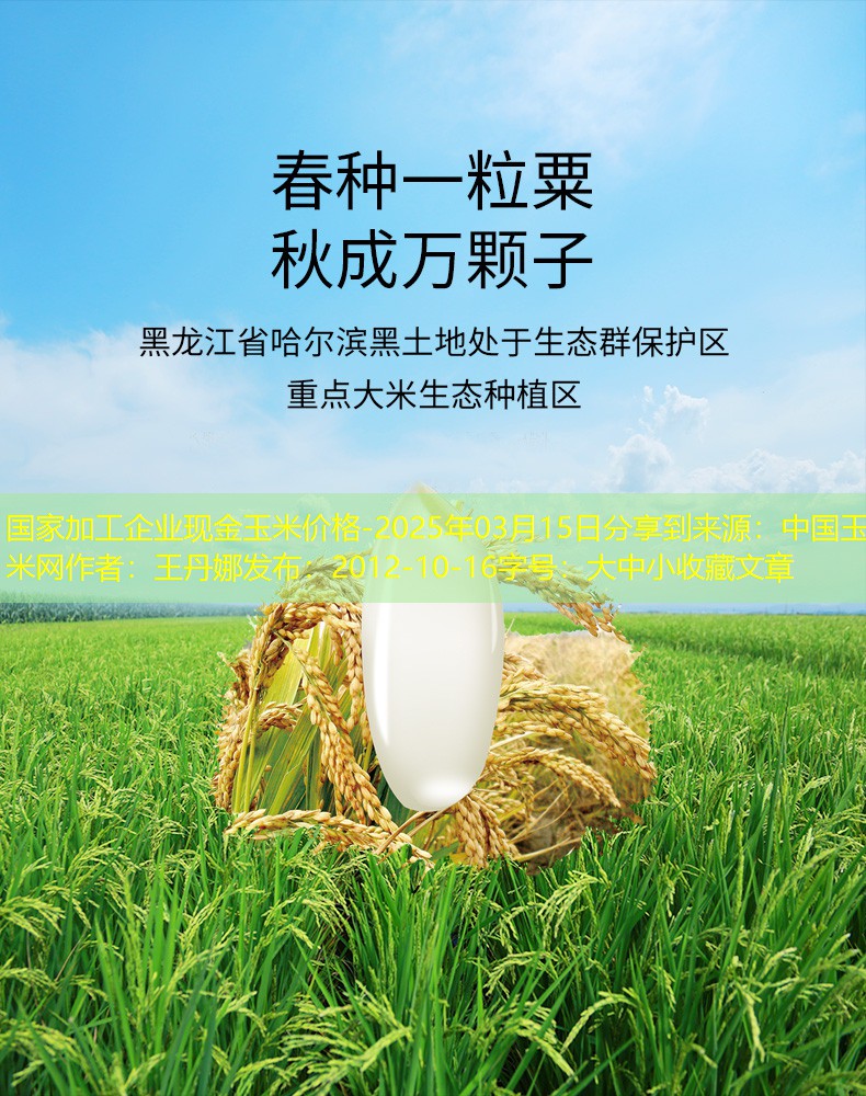 国家加工企业现金玉米价格-2025年03月15日分享到来源：中国玉米网作者：王丹娜发布：2012-10-16字号：大中小收藏文章