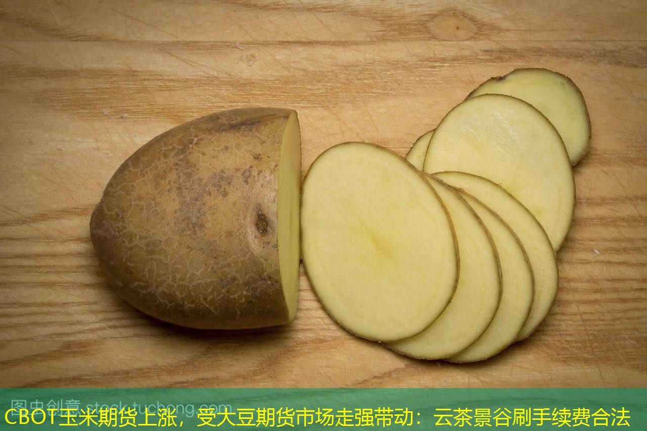 CBOT玉米期货上涨，受大豆期货市场走强带动