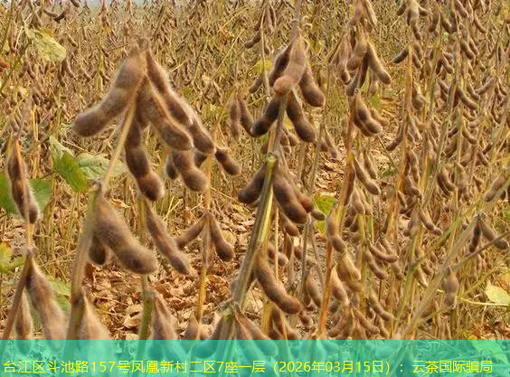 台江区斗池路157号凤凰新村二区7座一层（2026年03月15日）