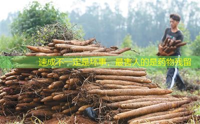 速成不一定是坏事，最害人的是药物残留