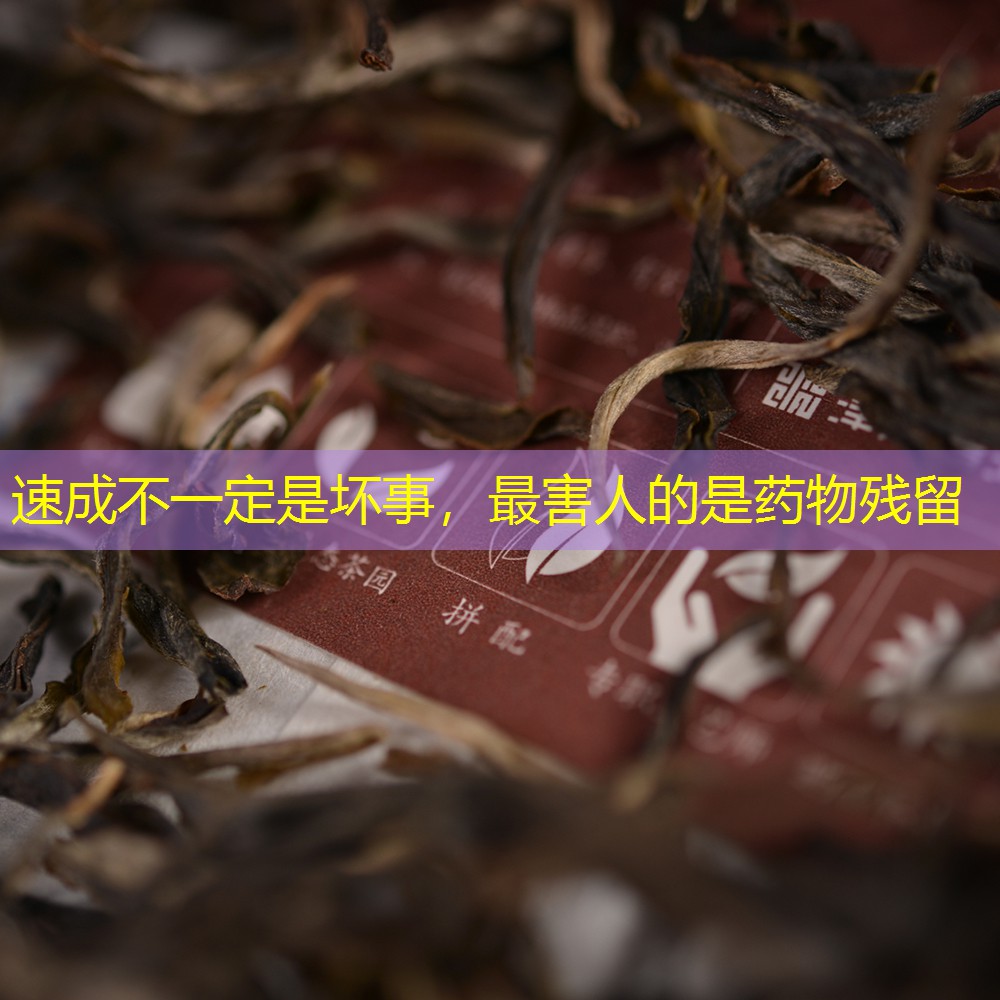 速成不一定是坏事，最害人的是药物残留